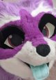 Zee the Raccoon Zee the Raccoon is a vibrant and playful fursuiter, passionate cosplayer, and talented artist dedicated to