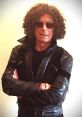 Howard Stern-ish Welcome to an exhilarating experience tailored for fans of entertainment and comedy. As a vibrant and