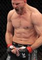 Stipe Miocic Stipe Miocic, a Croatian-American mixed martial artist, is celebrated for his remarkable achievements in the
