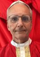 The Pope Born to a diverse family, Joe is a multifaceted talent who seamlessly blends his experience as an actor with a