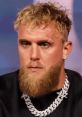 Jake Paul Parody AI Jake Paul Parody AI is a vibrant and engaging voice companion that channels the energetic persona of the