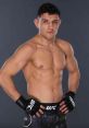 Damir Hadzovic Damir Hadzovic is a professional mixed martial artist hailing from Bosnia and Herzegovina, currently