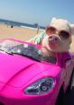 Hamlet The Piggy Hamlet The Piggy is an adorable mini pig residing in Nashville, Tennessee, known for his charming