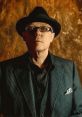 David J David J is a multifaceted creative hailing from the vibrant context of the arts, renowned for his contributions as a