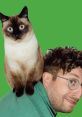 Merv The Cat Merv The Cat is a charismatic feline influencer and social media star, captivating audiences with his