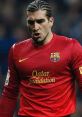 José Manuel Pinto José Manuel Pinto is a former elite soccer player renowned for his remarkable career with FC Barcelona, RC