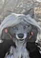 Cassidy Civet Cassidy Civet is a dynamic pop star who has made a significant impact within the furry fandom. With a