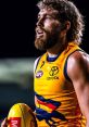 Riley Thilthorpe Riley Thilthorpe is an exceptionally talented professional Australian football player, known for his role