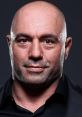 Joe Rogan Parody Welcome to the world of our Joe Rogan parody, where wit meets absurdity in a vibrant blend of comedy and