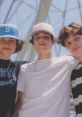 Sturniolo Triplets The Sturniolo Triplets, consisting of the charismatic trio Nick, Matt, and Chris, are rapidly gaining