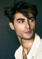 Ricardo (Male Brazilian Portuguese Voice, Ivona) Ricardo (Male Brazilian Portuguese voice) from Ivona voices.