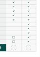 Checklist displaying selected options for Chesna products or services, highlighting key features and availability.