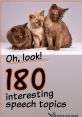 Kitten Cat Text To Speech Again