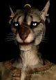 Kitty (Bed Sleep Cuddles & Hugs: Bed In Boots) Type your text and hear it in the voice of Kitty.