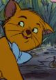 Toulouse (Gary Dubin, The Aristocats) Toulouse is a major character in Disney's 1970 animated feature film The Aristocats.