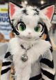 Kotetsu I like furries