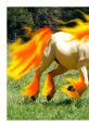 Rapidash From Pokémon In Real Life By WHOA GUM Rapidash is a unicorn looking fire type Pokémon, this Rapidash Pokémon is
