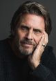 Shawn Stevens Shawn Stevens (born April 5, 1958) is an American film, television and stage actor, singer and entrepreneur.