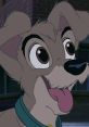 Scamp (Lady And The Tramp 2) This is Scamp From Lady and the Tramp 2