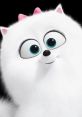 Gidget (Jenny Slate, The Secret Life Of Pets)