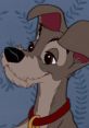 Tramp (Lady And The Tramp)