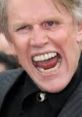 Gary Busey (Futh Mode) Gary Busey Voice: Imagine a wild-eyed, gravel-voiced Gary Busey who just chugged three Red Bulls