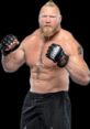 Brock Lesnar A WWE in ring competitor who started out as a rookie in the early 2000s, competed in multiple fights in MMA,