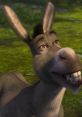 Donkey (Eddie Murphy, Shrek) Donkey is the deuteragonist of DreamWorks Animation's Shrek franchise. He is a talktive and