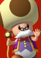 Toadsworth (Super Mario Series) Supporting character from Super Mario series