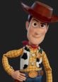 Sheriff Woody (Tom Hanks,Toy Story Franchise) Sheriff Woody Pride, commonly known as Woody, is the main protagonist of the