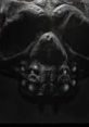 Detailed close-up of Titanus Abaddon, showcasing its textured features and eerie appearance against a dark background.