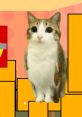 Meowl The Melonpi character stands playfully in a colorful, cartoon-inspired background filled with vibrant shapes.