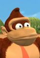 Donkey Kong Cartoon (1998 - 2000) A main character from Donkey Kong Country series, a Super Mario spin-off