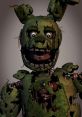 Spring Trap