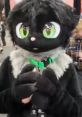 Kuromaru VOID CAT VOID CAT