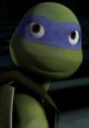 Donnie, the inventive Teenage Mutant Ninja Turtle, with a thoughtful expression and signature purple mask.