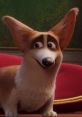 Charlie (The Queen's Corgi)