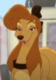 Dixie (Reba Mcentire, The Fox And The Hound 2)