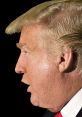 Profile view of a prominent figure with distinct hairstyle and facial features, commonly discussed in media and politics.