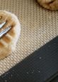 Fork on a Cookie