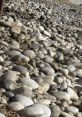 Rock On The Ground