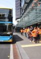 Doubledeckers In The Street!