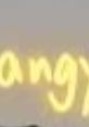 Yellow text displaying the word 'angry' against a muted background, linked to the themes of We Are Charlie Kirk Singer.