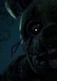 Spring trap 3