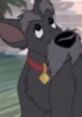 Jock (Jeff Bennett, Lady And The Tramp II: Scamp's Adventure)