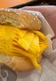 Legged123
