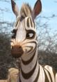 Tombi (Annasophia Robb, Khumba)