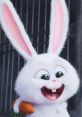 Snowball (Kevin Hart, The Secret Life Of Pets)
