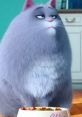 Chloe ( Lake Bell, The Secret Life Of Pets)