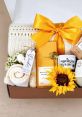 Sunshine box